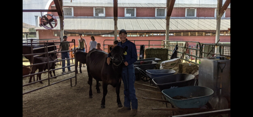 Jordan and his steer