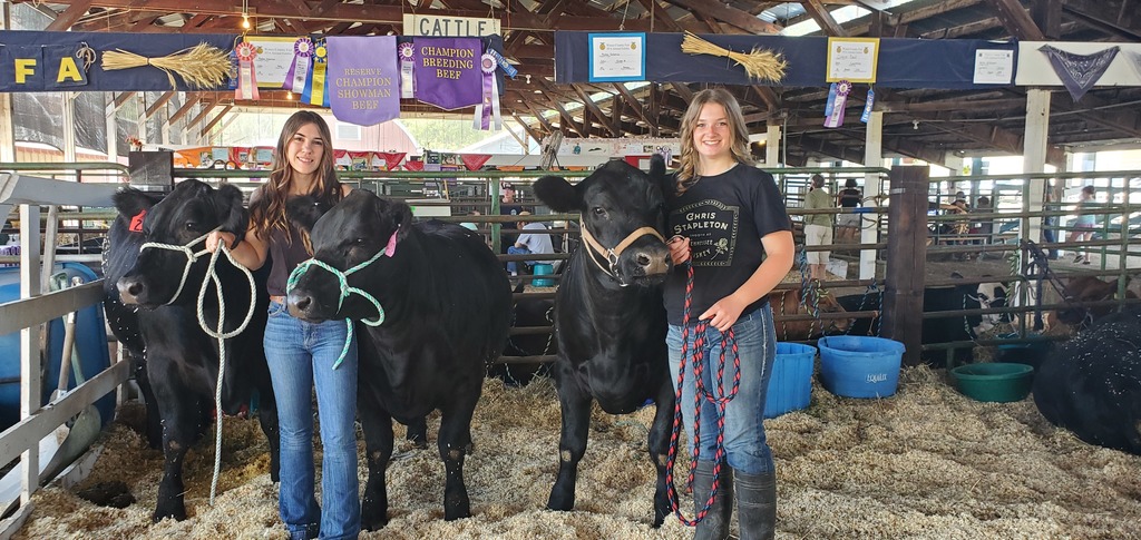 Maddie and Grace with their steers.
