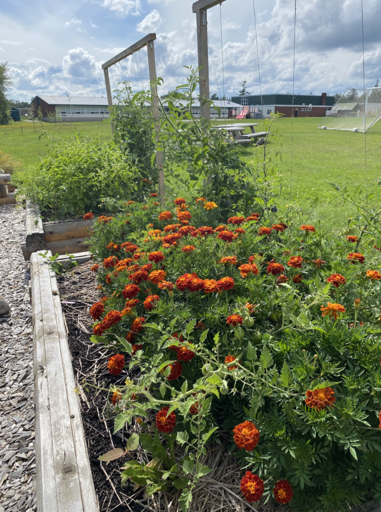 garden classroom