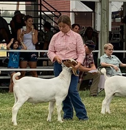 Madeline showing her goat