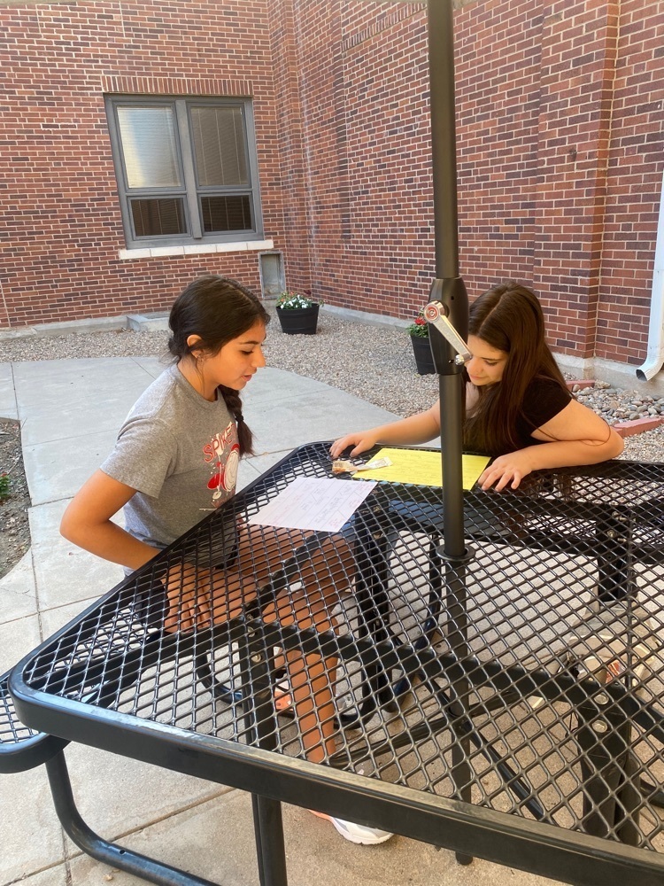 Having a conversation.