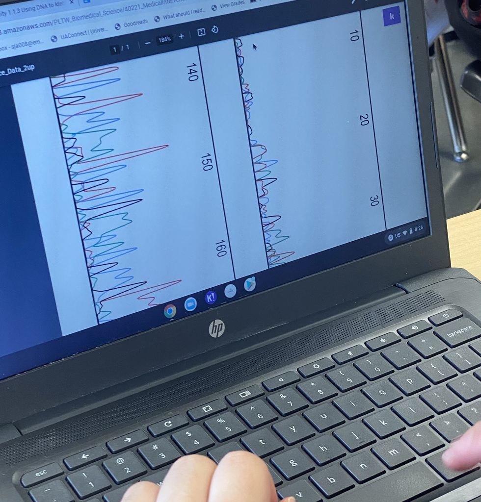 picture of a graph on a students computer