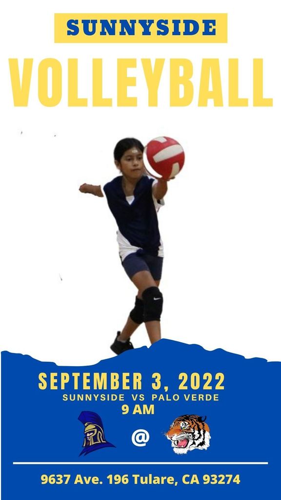 Volleyball