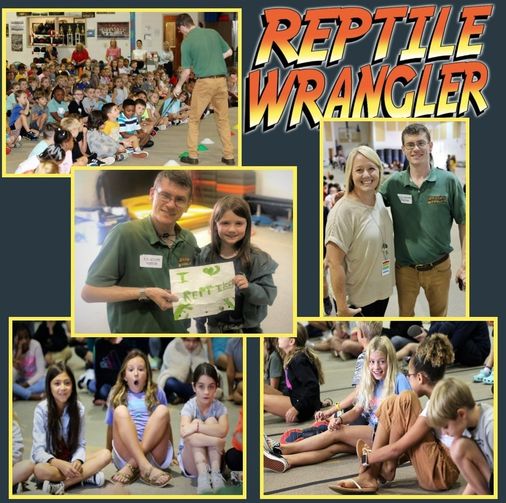 reptile bear bash