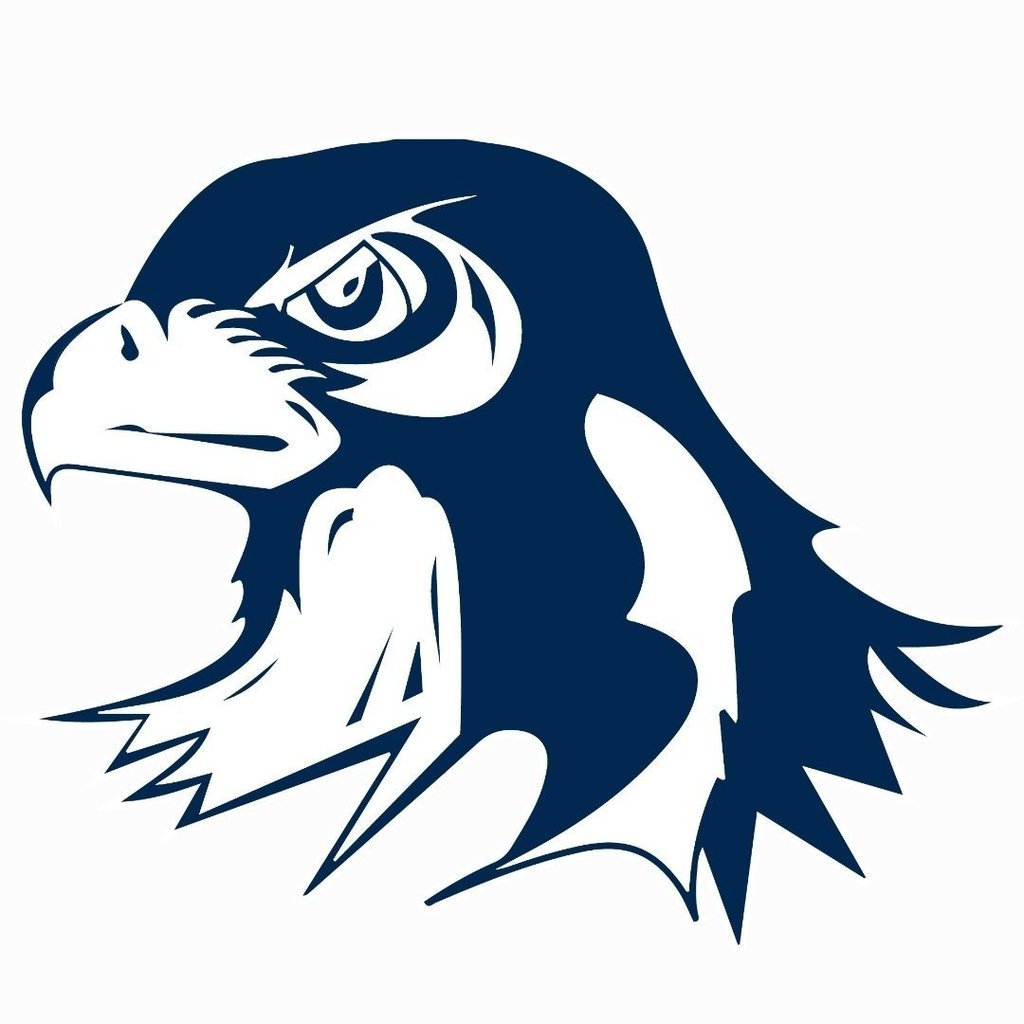 Salisbury Falcons logo