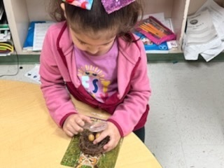 Identifying Animals