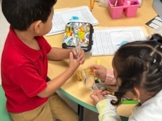 Identifying Animals