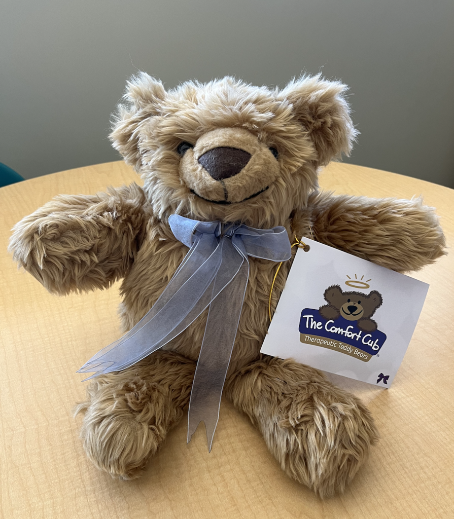 Donated Comfort Cubs