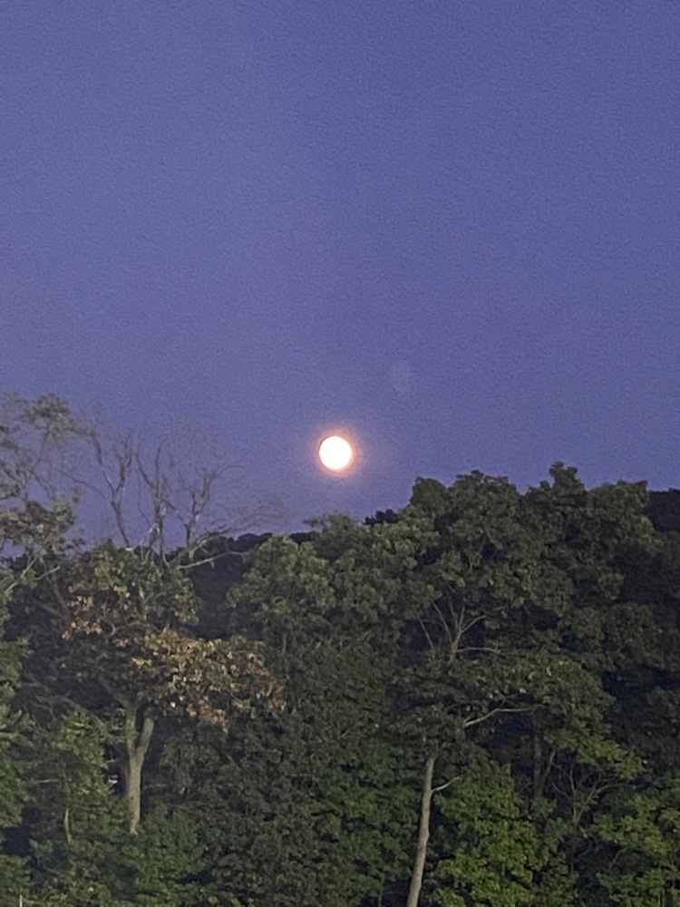 moon