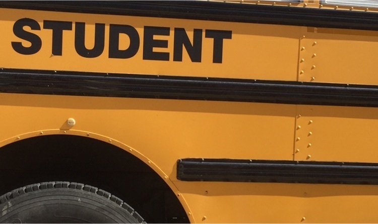 child waving at a school bus