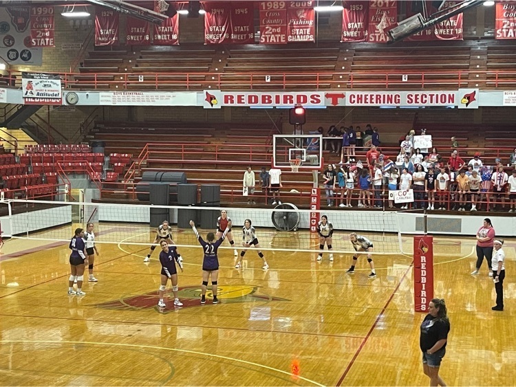 vb
