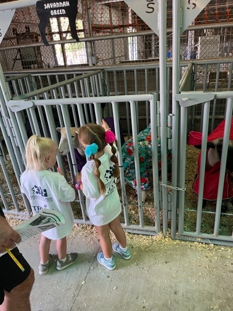 Wash. County Fair