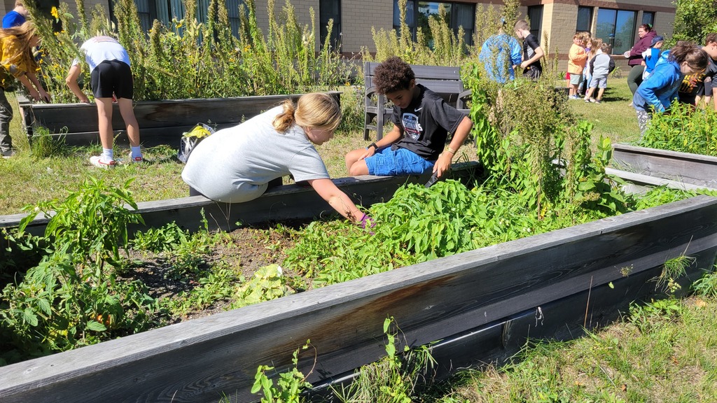 Student working in the garden