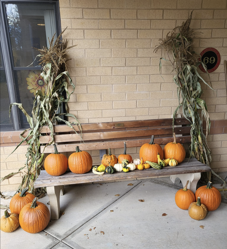 fall decorations