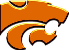 Wildcat mascot