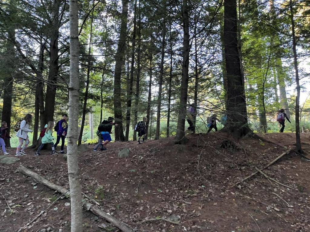 Walking to school along a ridge in the forest