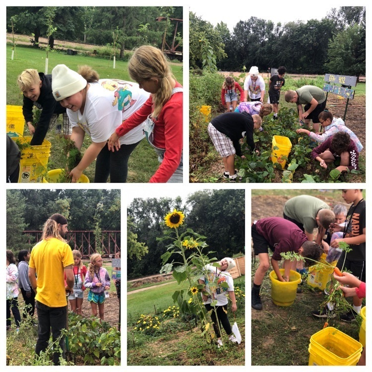 5th graders at Iron Fox Farms