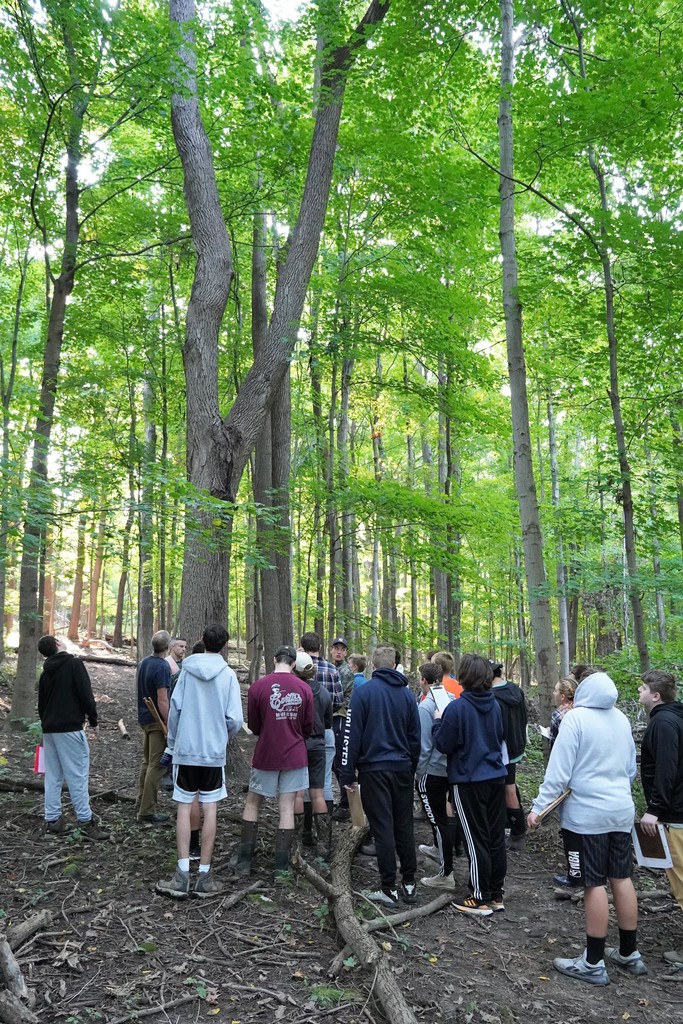 class in woods with DEC Forester