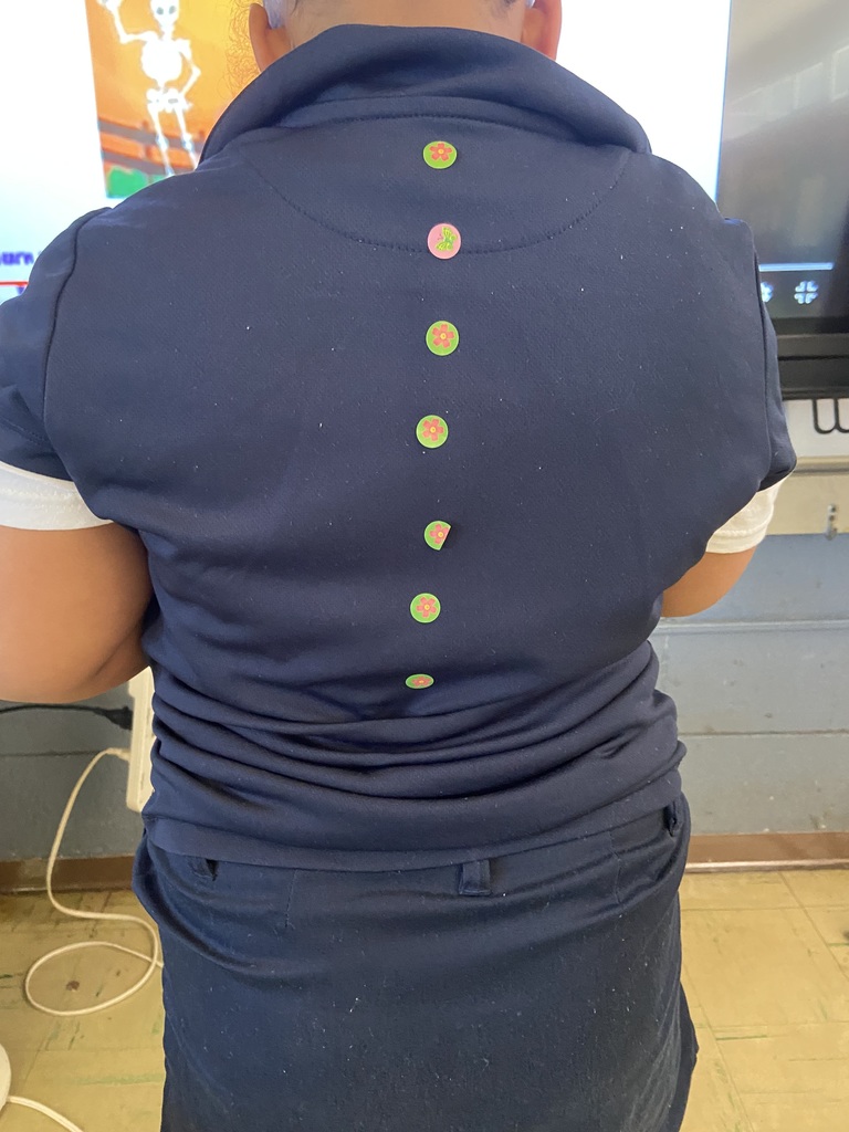 1st Grade Spine lesson