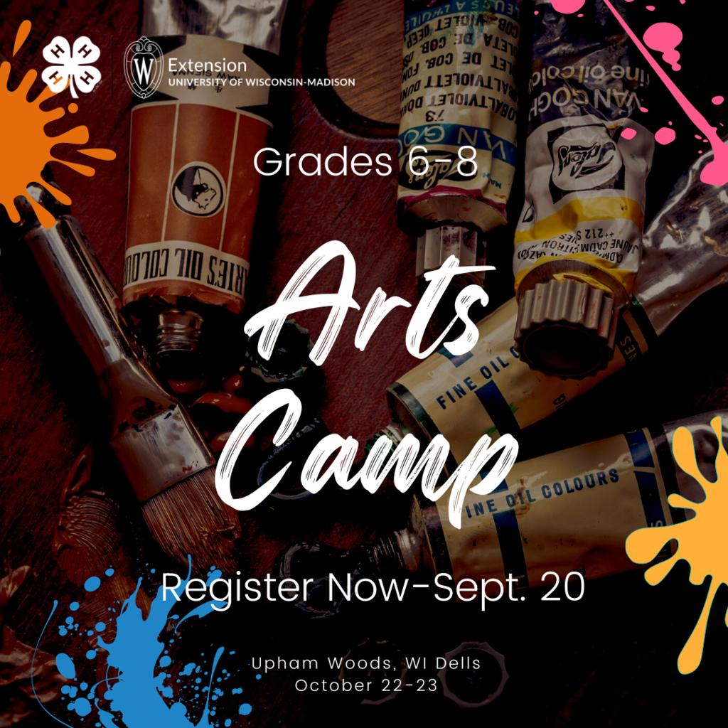 6th-8th grade Art Camp