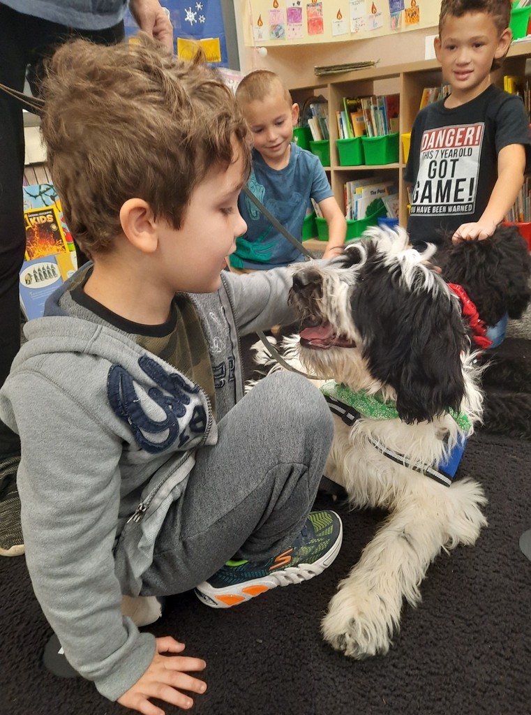 boy petting a puppy