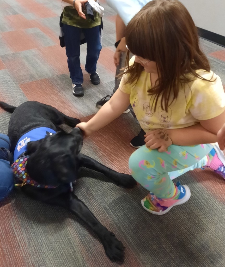 girl pets a black puppy