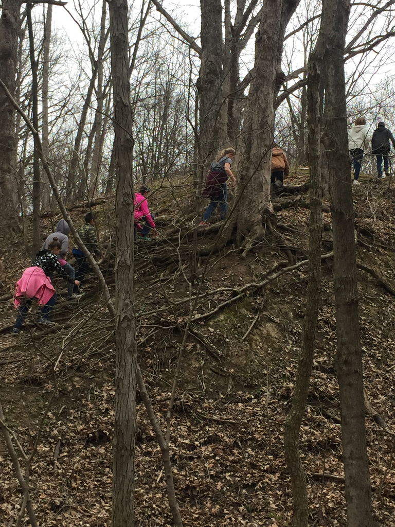 “Tree root hill” 