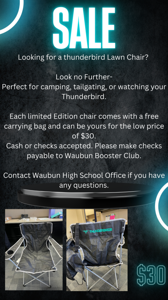 Thunderbird chair sale!