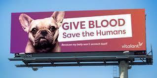 blood drive ad