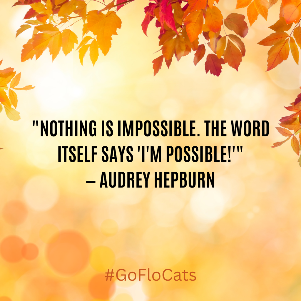 "Nothing is impossible. The word itself says 'I'm possible!'" — Audrey Hepburn