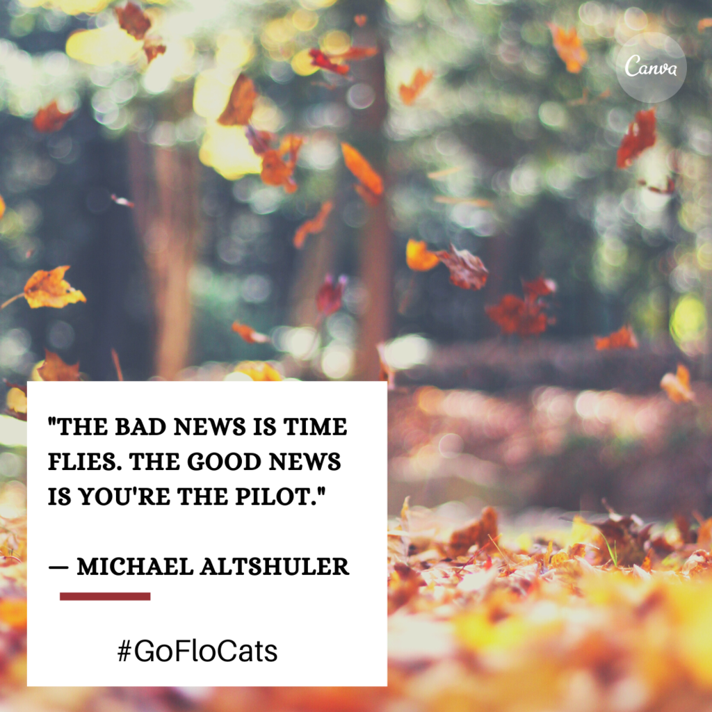 "The bad news is time flies. The good news is you're the pilot." — Michael Altshuler
