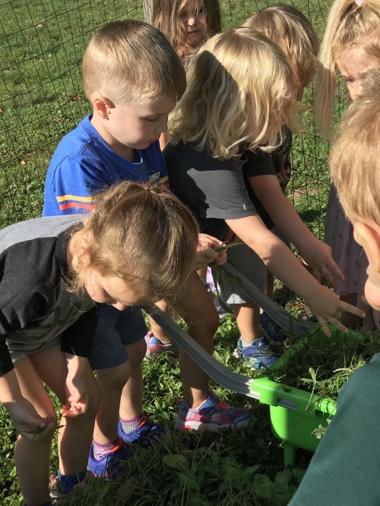 Glenview Center Preschool Students Gardening