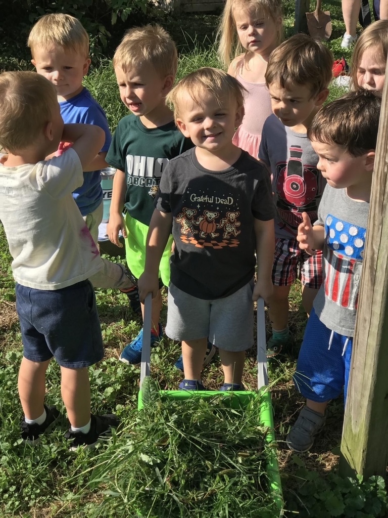 Glenview Center Preschool Students Gardening