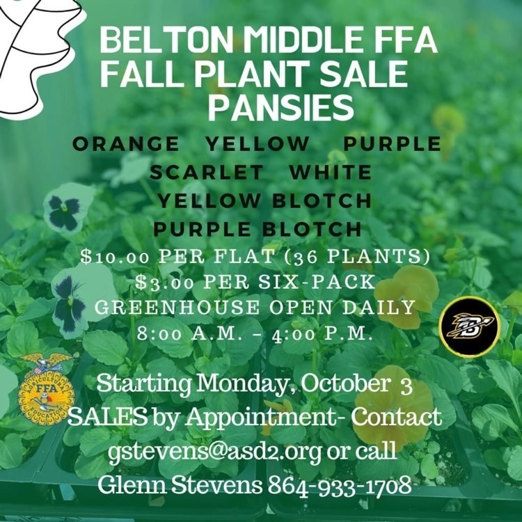 fall plant