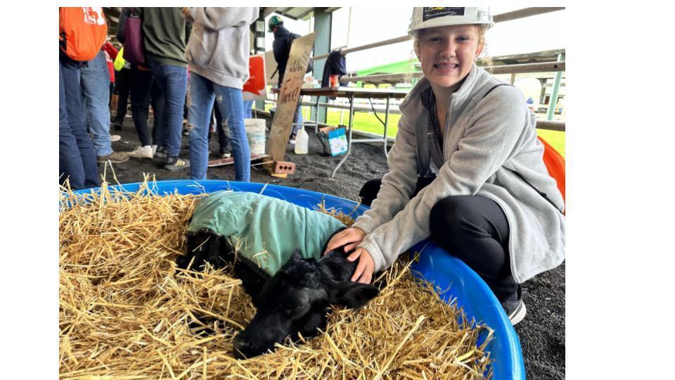 student with a calf