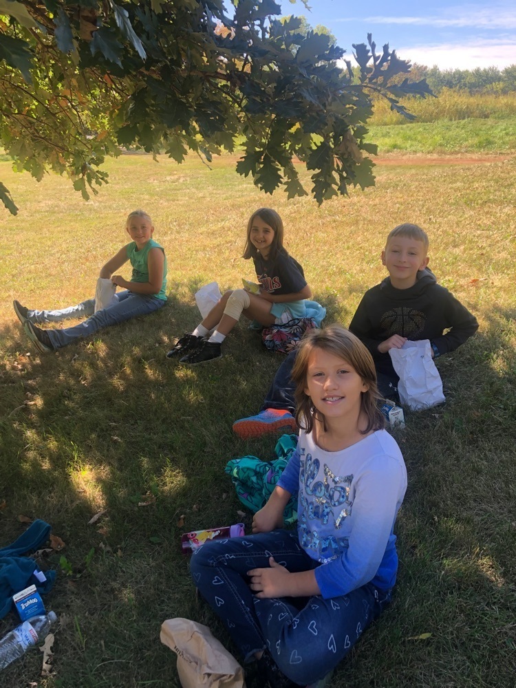 lunch in the shade