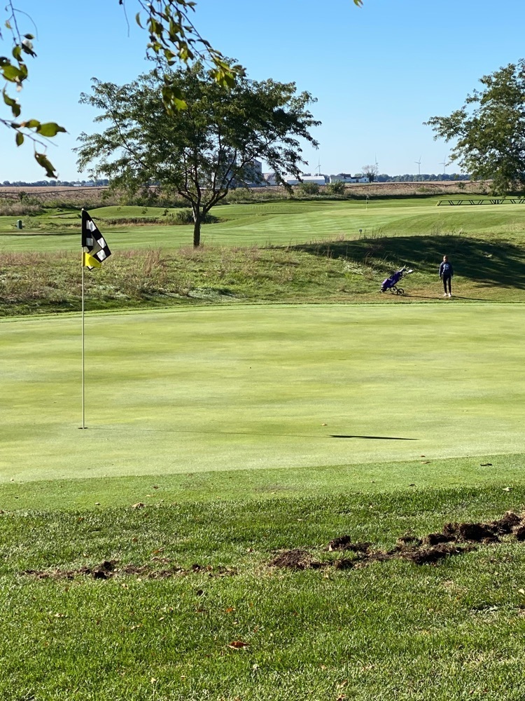 duchesses golf