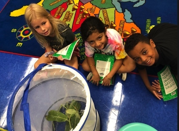 Making observations