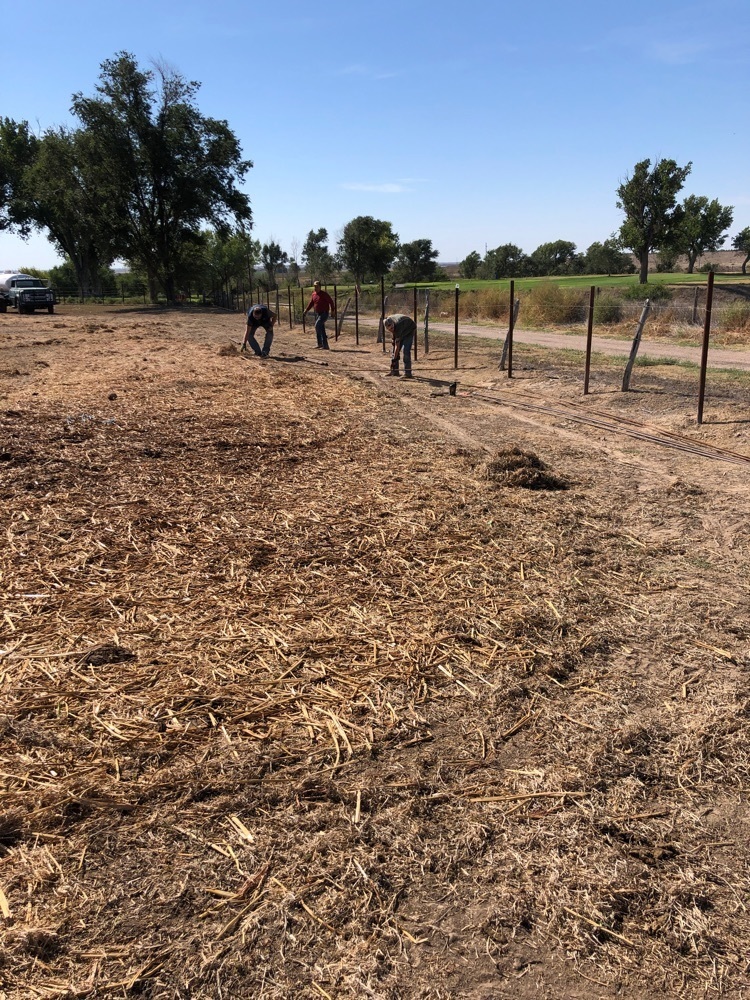 lining up sucker rod