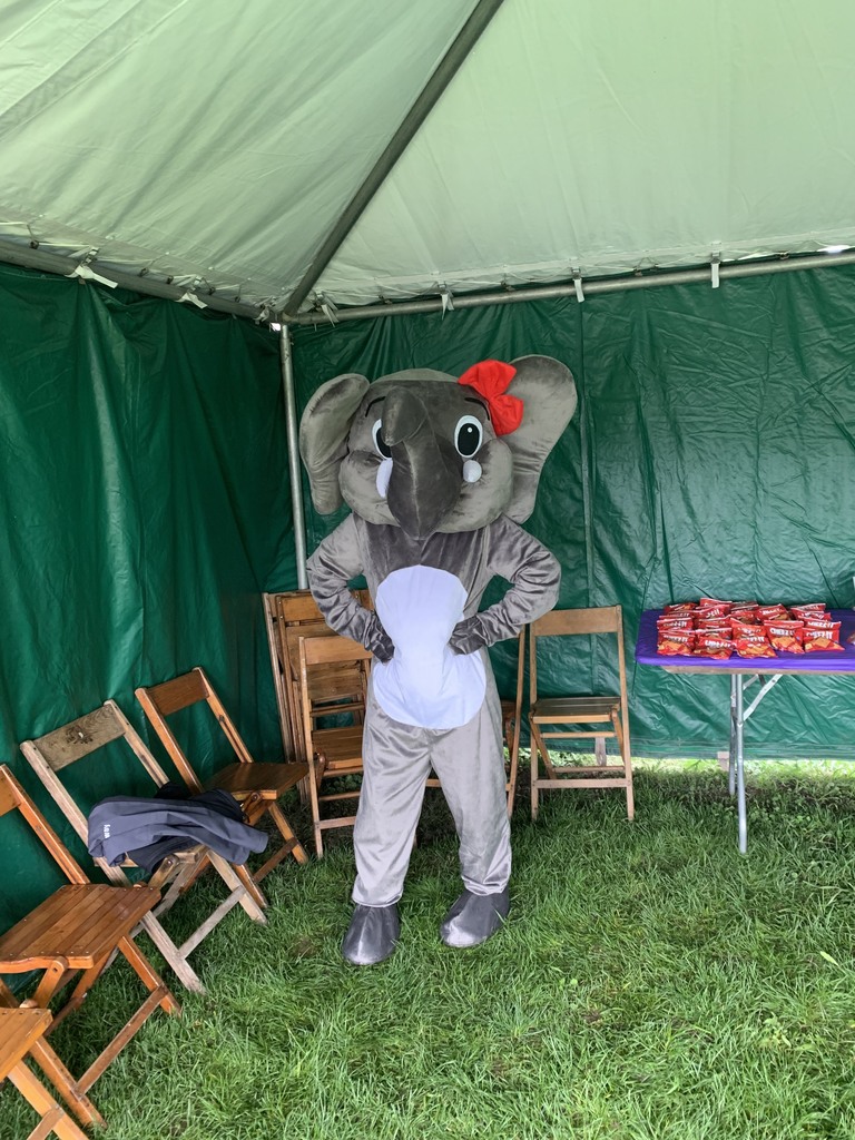 Student in elephant costume