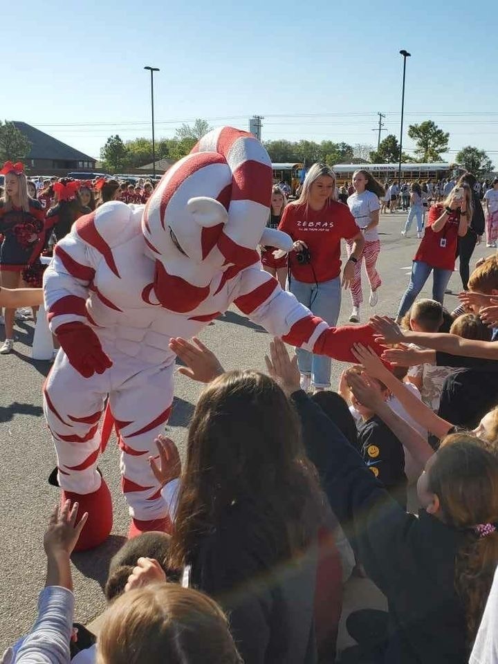 zebra mascot