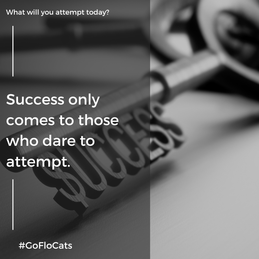 Success only comes to those who dare to attempt.  What will you attempt today?  #GoFloCats