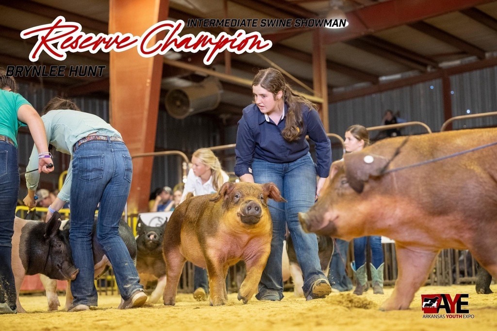 student showing pig in arena