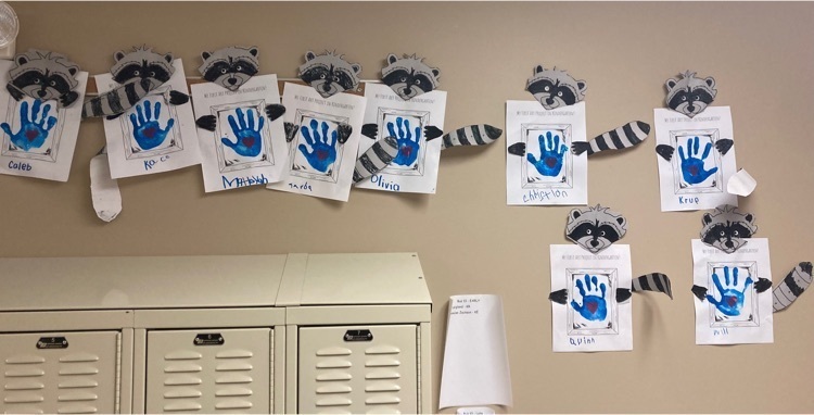 Kindergarten raccoons