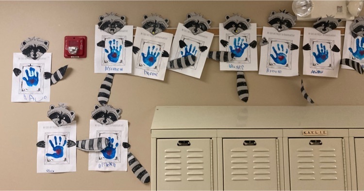 kindergarten raccoons