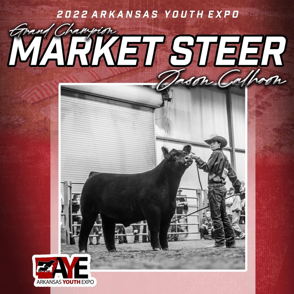 picture of student and steer in arena