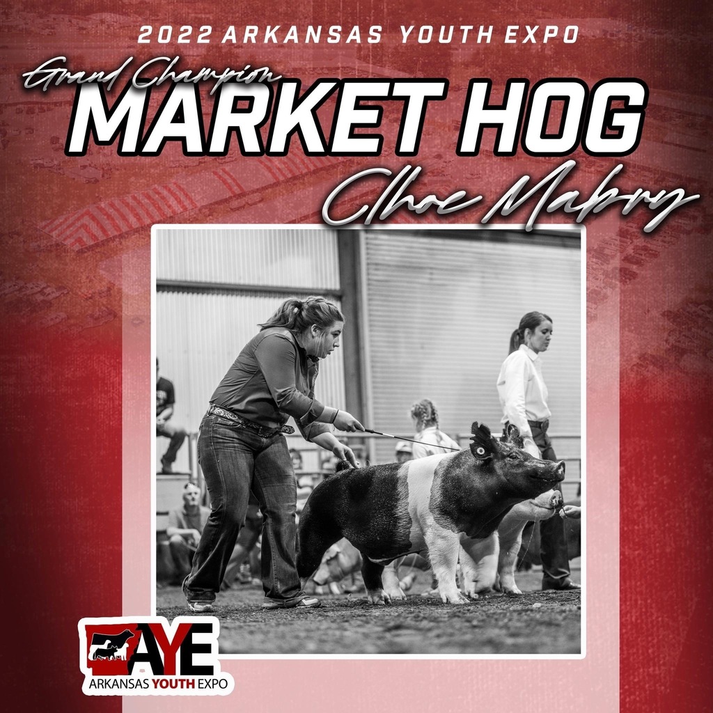 picture of student and hog in arena