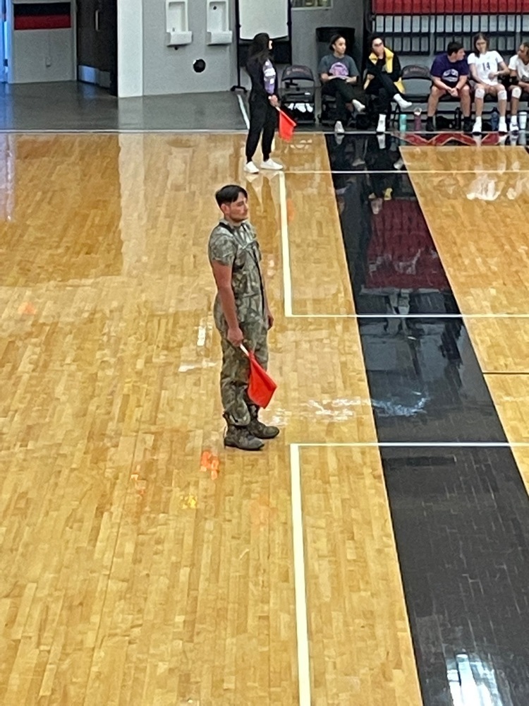 Line Judge