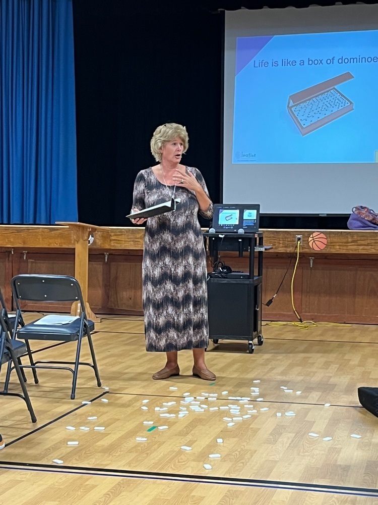 Presenter drops dominoes which represent someone’s identity and connection with others.