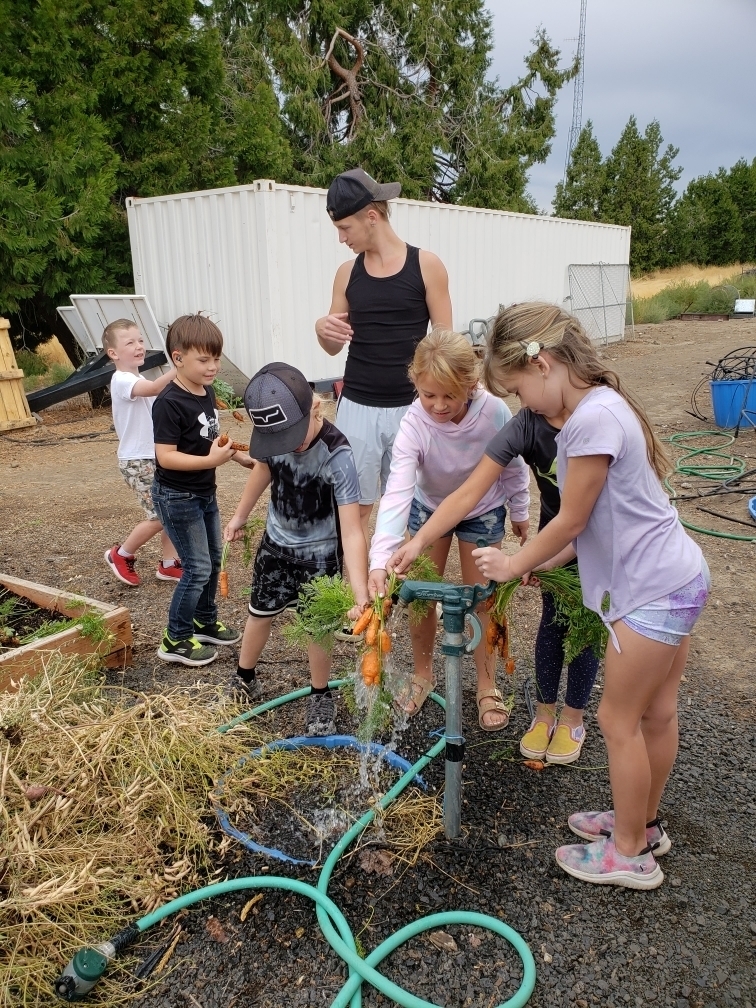 Preparing carrots to eat
